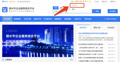 麗水企業(yè) 2021年中小微企業(yè)服務(wù)券申領(lǐng)正式啟動，助力信息技術(shù)咨詢服務(wù)發(fā)展